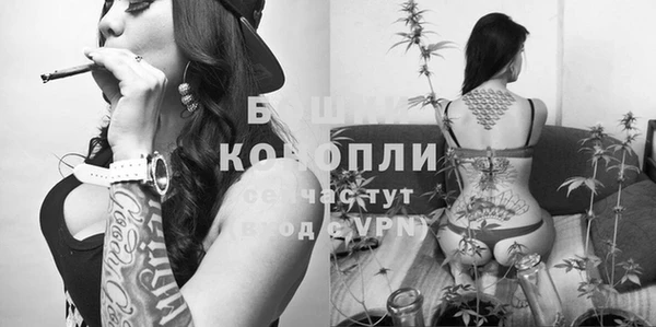 таблы Алексин
