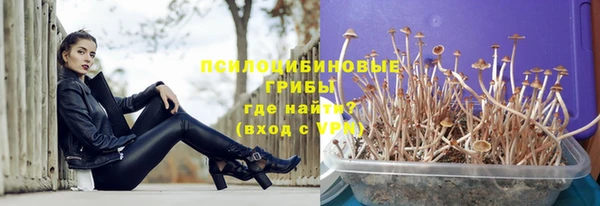 соль курить ск Алзамай