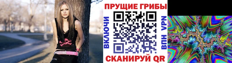 Галлюциногенные грибы ЛСД  даркнет сайт  мега ссылки  Зверево 