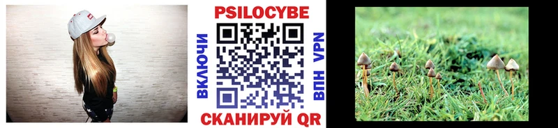 Псилоцибиновые грибы мицелий Зверево